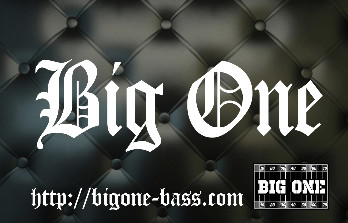 BIG ONE webshop