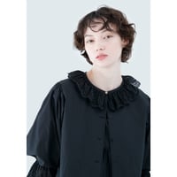 Lace collar blouse