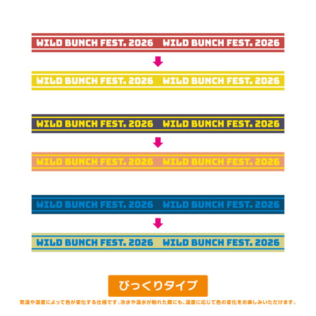 シークレット　ラバーバンド