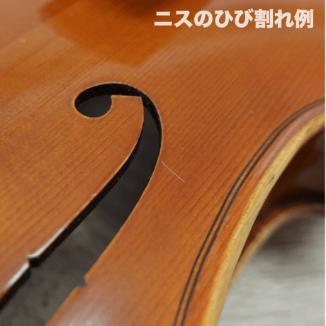 【ヴァイオリン】 アウトレット Pygmalius スタンダード  3/4サイズ　30%OFF