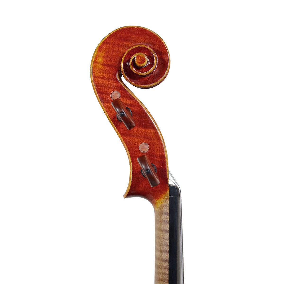 Pygmalius ビオラ　395サイズ Pygmalius ビオラ 395サイズ ピグマリウス スタンダード