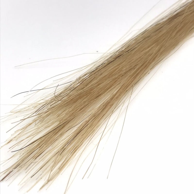 コントラバス弓】ルッキ・スペシャル 弓毛 | 文京楽器オンラインストア