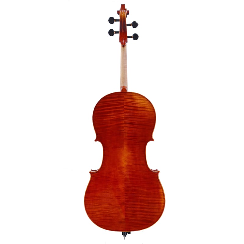 Tm】Pygmalion Rubino 350S チェロ ZP.MODULAR 2 | DEEP CONCAVE