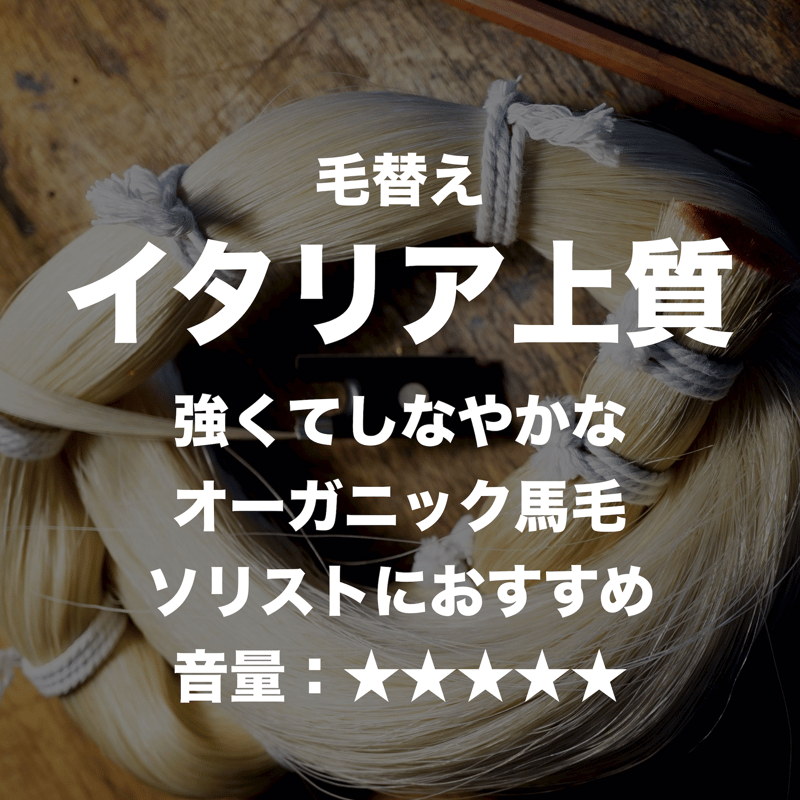 ヴァイオリン&ヴィオラ弓】宅配 毛替え イタリア上質 | 文京楽器