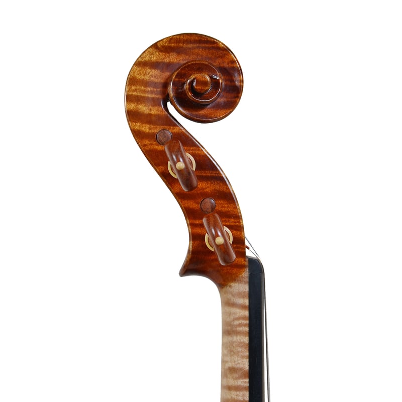 ヴァイオリン】 Pygmalius SPECIALITA | 文京楽器オンラインストア