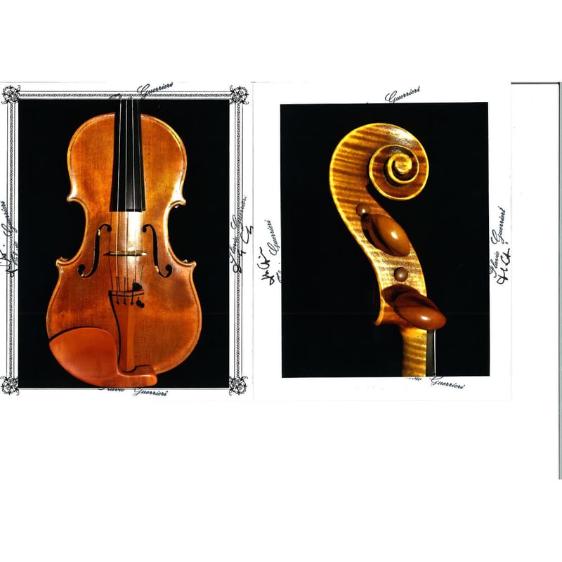 チェロヴァイオリンヴィオラIN FOCUS & Stradivari 書籍セット チェロヴァイオリンヴィオラIN FOCUS & Stradivari 書籍セット