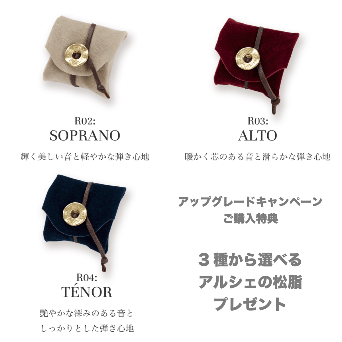ヴァイオリン弓】 Archet PE TRAD-G (旧ラインナップ) | 文京楽器