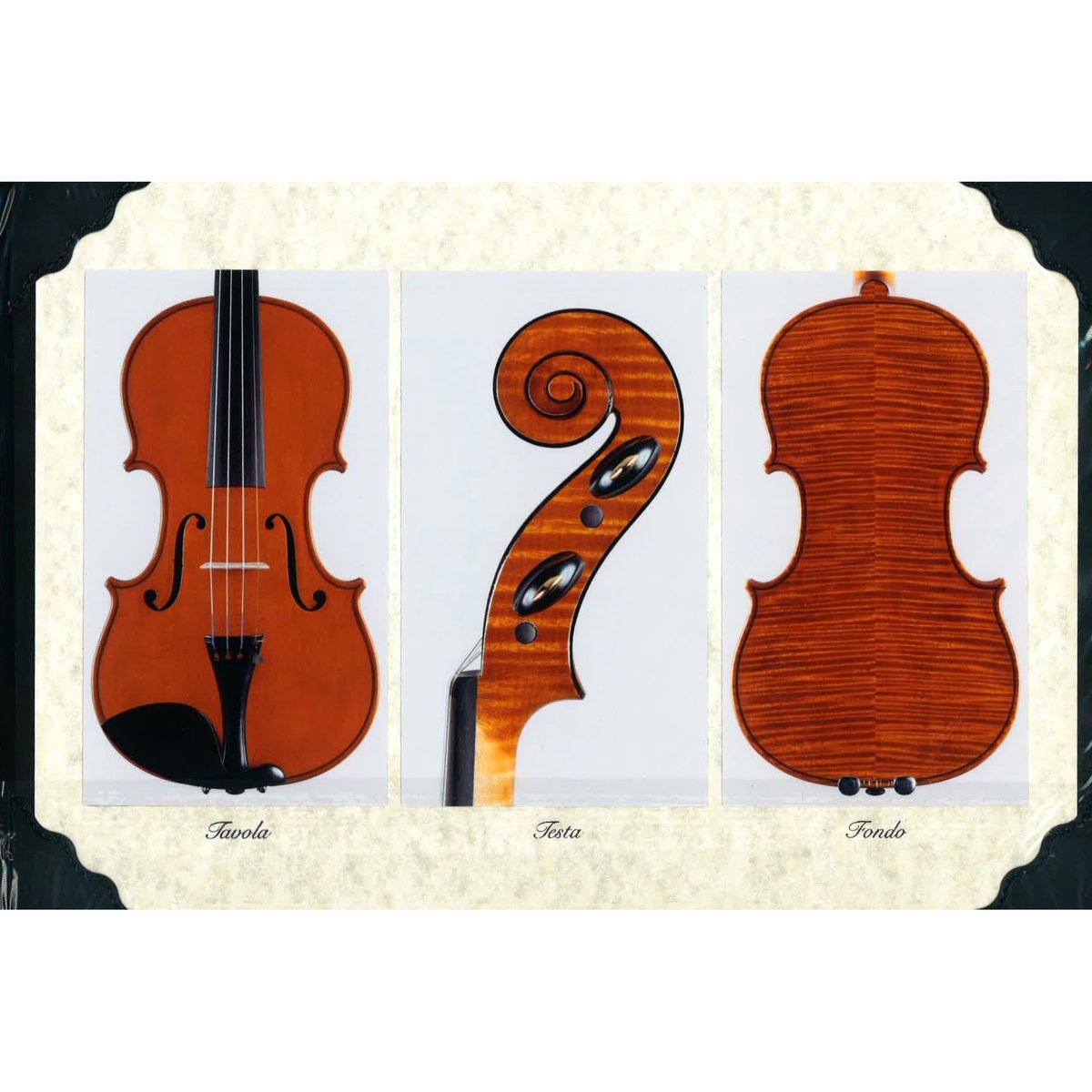 ヴィオラ　VIOLA　16インチ　イタリア　クレモナ　作家制作品　証明書付き ヴィオラ VIOLA 16インチ イタリア クレモナ 作家制作品 証明書