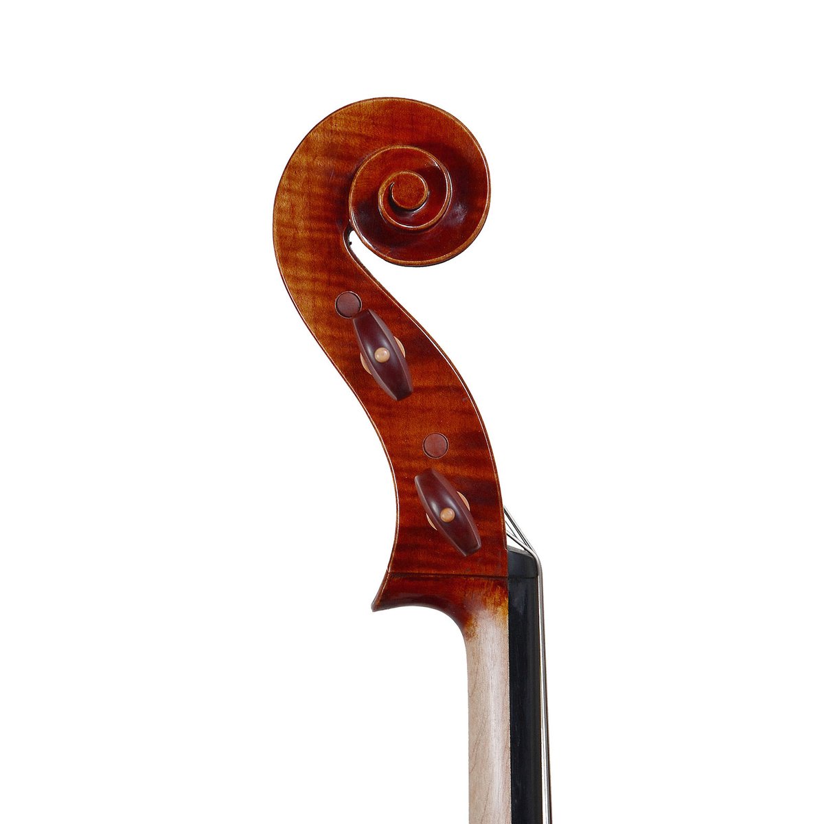 専用】Pygmalius(ピグマリウス) チェロ ST302 専用】Pygmalius