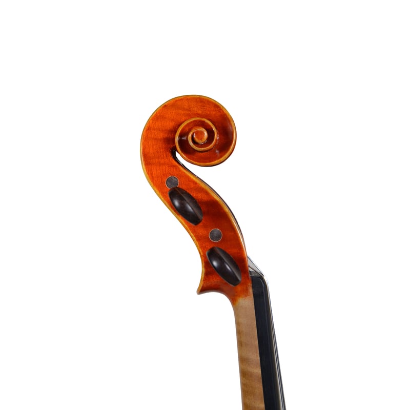 【美麗優音】 ピグマリウス S-113 バイオリン 4/4 付属品セット ヴァイオリン4/4セット】ピグマリウス＆アルシェ エントリー