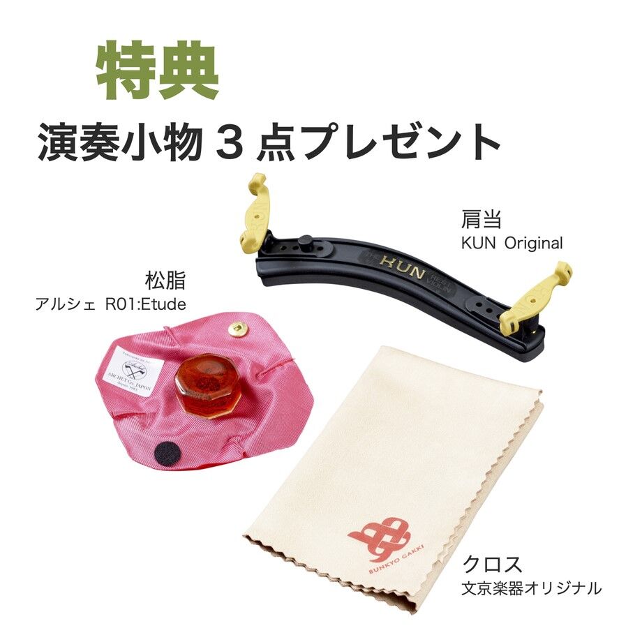 ヴァイオリン4/4セット】ピグマリウス＆アルシェ エントリーセット