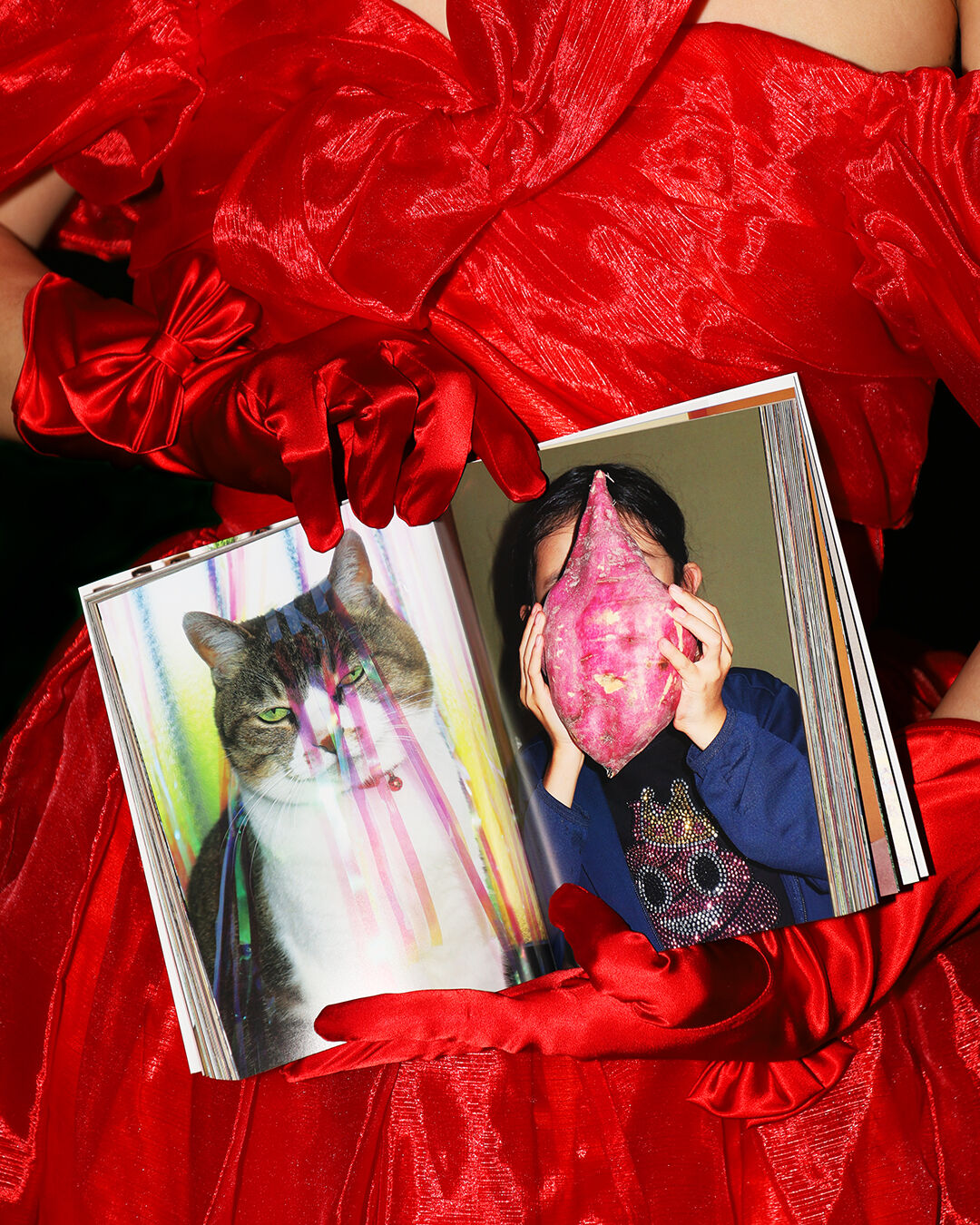 Fujimura Family 『PROOF OF LIVING』 | MARGINAL CO-OP