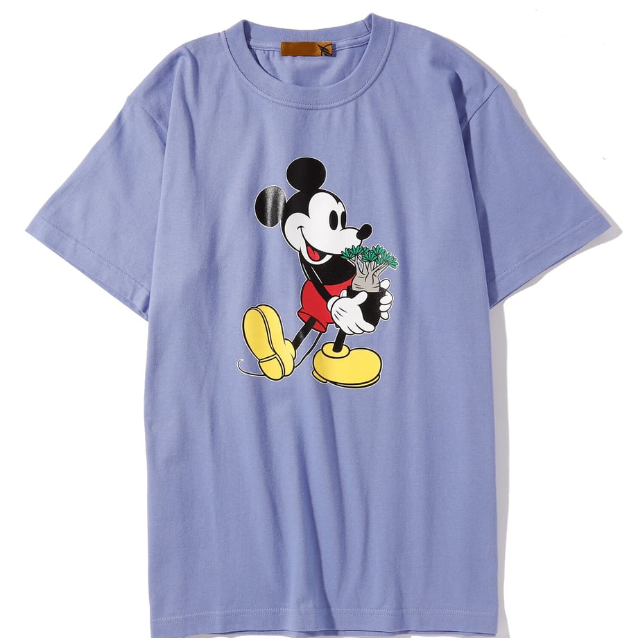 649ed04ae3848e00385fa32f