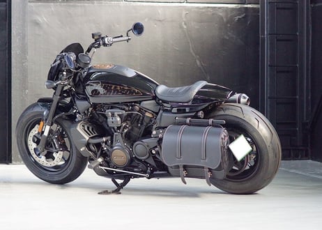スポーツスターS専用　デタチャブルサイドバックステーKIT　DS-05