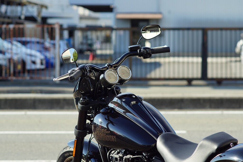 ローライダーS専用 メーターケース RMK-01 | custom factory Noy's