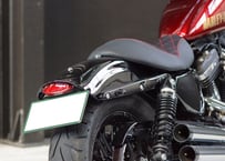 スポーツスター専用　リヤフェンダーＫＩＴ　2004～(RR-01)