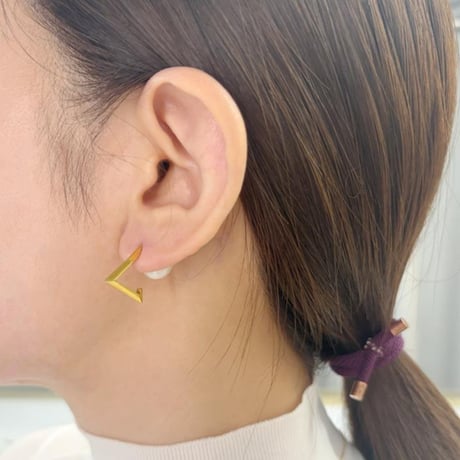 cross section series　initial pierce A
