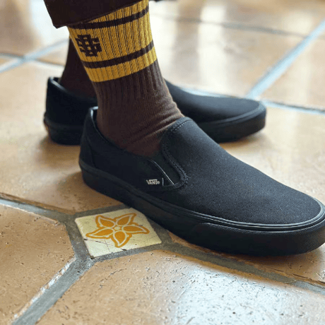 Standard California / SD Sports Socks-2P Type-2