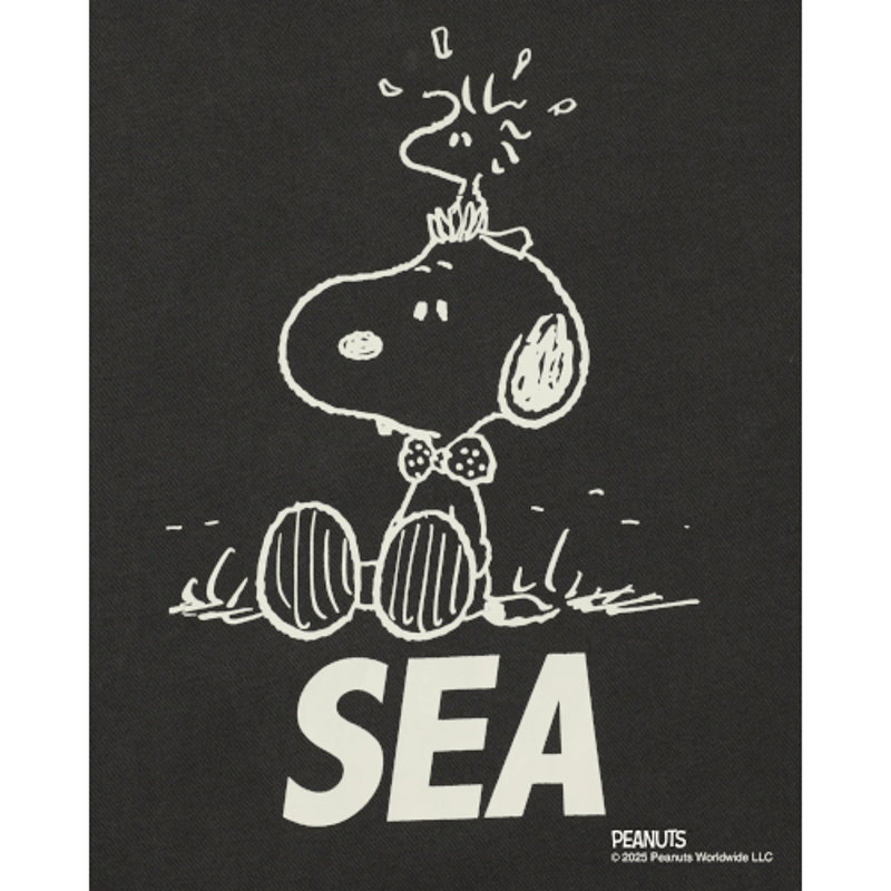 SMOOTHY x WDS Snoopy Pigment Crewneck Sweatshir