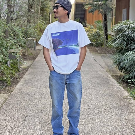 HIROSHI NAGAI / Standard California 23rd Year Art T.