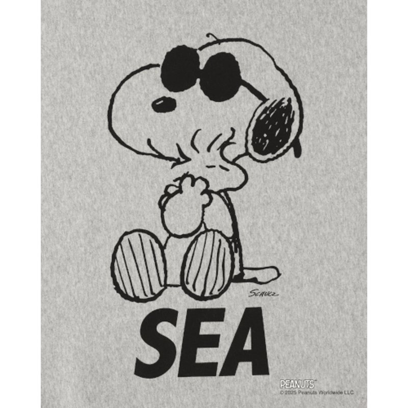 SMOOTHY x WDS Snoopy Pigment Crewneck Sweatshir