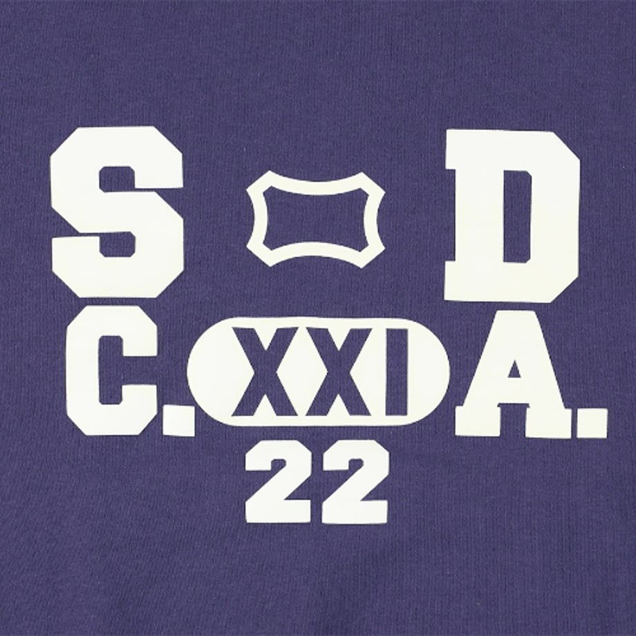 67265acb4c3d4e6107fcbd3c