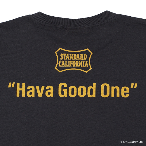 STANDARD CALIFORNIA STAR WARS EWOK Tシャツ STAR WARS』 / SD Ewok T | KNOWLEDGE