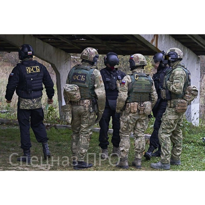 FSB放出 ANA製 官給品 マルチカムMolleセット VOGポーチ | ロシアの梅