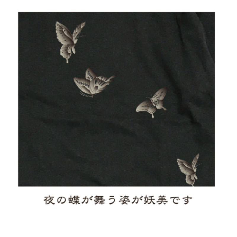 夜の蝶の7分T Night Butterfly 3/4 Length T KJ-52005