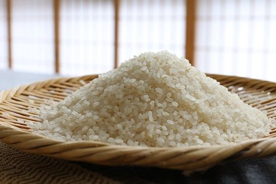 令和6年収穫米 魚沼産コシヒカリ 特A・一等米・最強 | Tomoya 令和6年収穫米 魚沼産コシヒカリ 特A・一等米・最強 | Tomoya