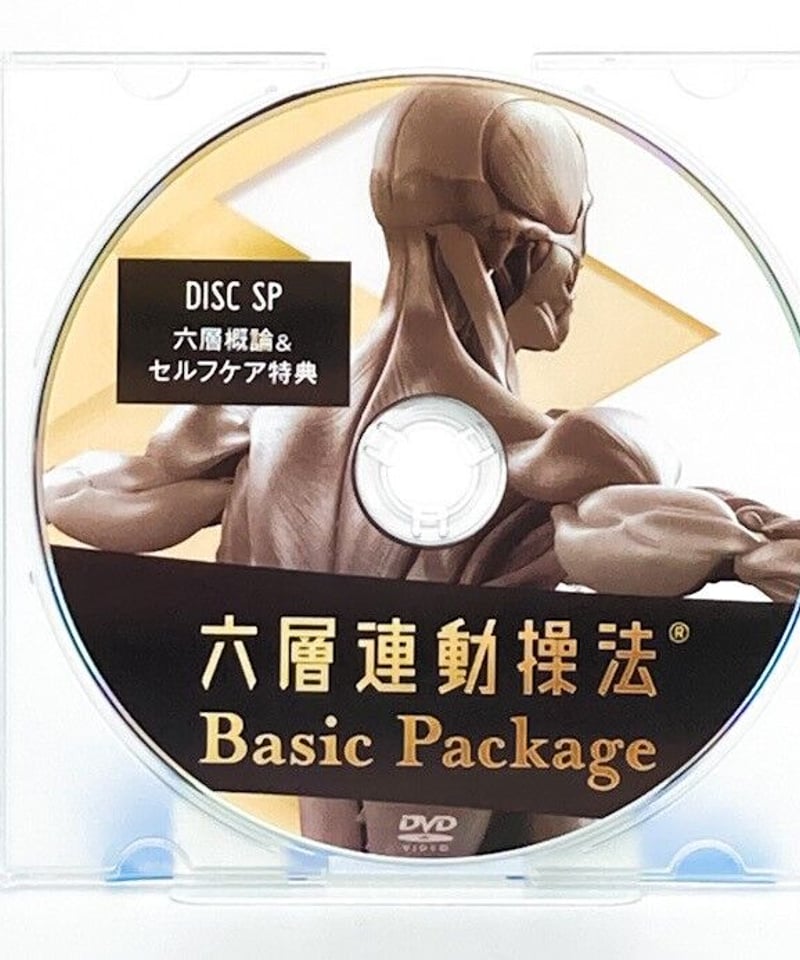 六層連動操法DVD  沖倉国悦