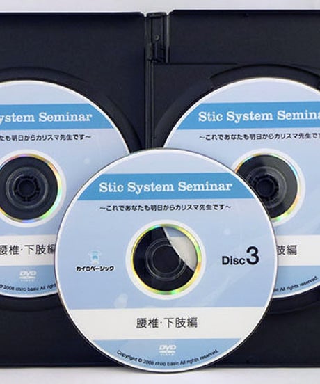 Stic System Seminar スティックシステムセミナー 腰椎・下肢編　戸栗公男　DVD