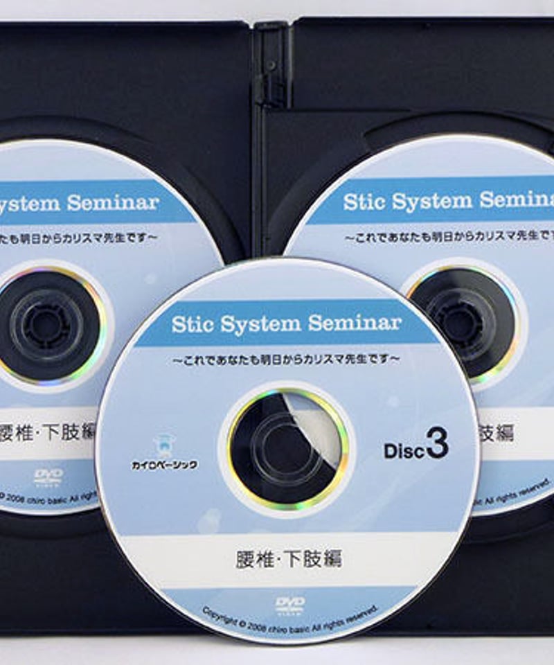 Stic System Seminar DVD 4枚セット DVD Stic System Seminar DVD 4枚セット