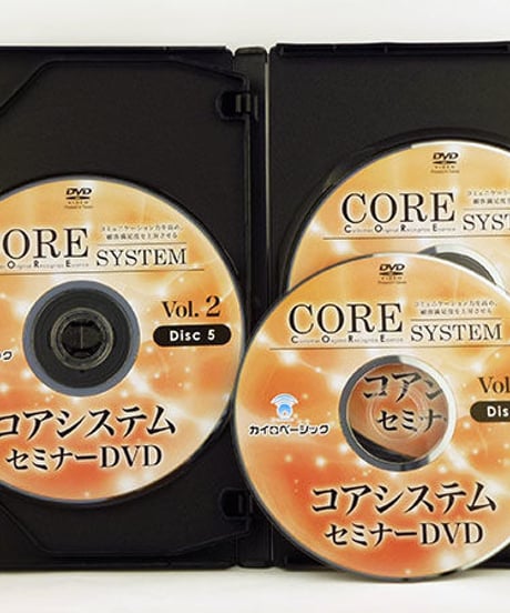 【コアシステムセミナー】戸栗公男 整体 手技DVD カイロベーシック