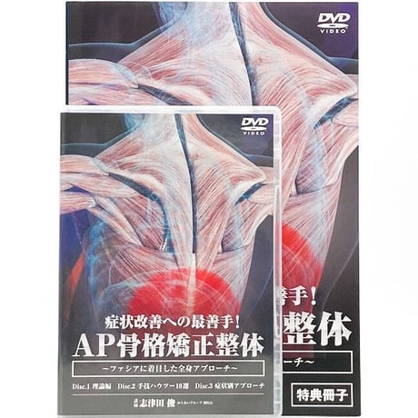 骨格矯正 | STORES