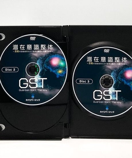 潜在意識整体GST～立位の波動施術だけで身体は劇的に改善できる～　丸山重幸