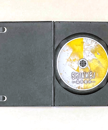 購入者限定【SHINMEI 眞命整体 患者さんの心身を真に強制する手技】星野高宏 旭太郎 整体 手技 DVD 治療院マーケティング研究所