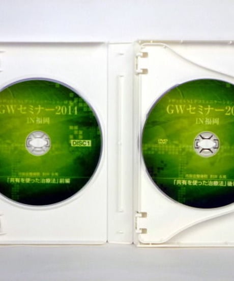 ＧＷセミナー２０１４IN福岡　肘井博行　廿日出庸治