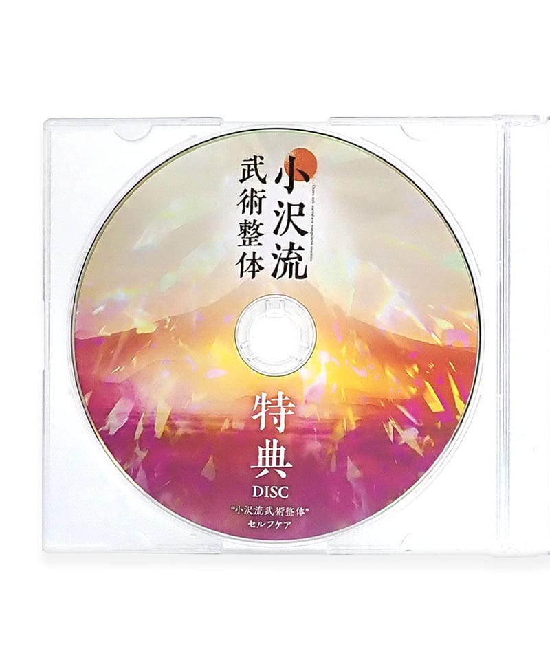 小沢真太郎　小沢流武術整体　DVD4枚+特典DVD