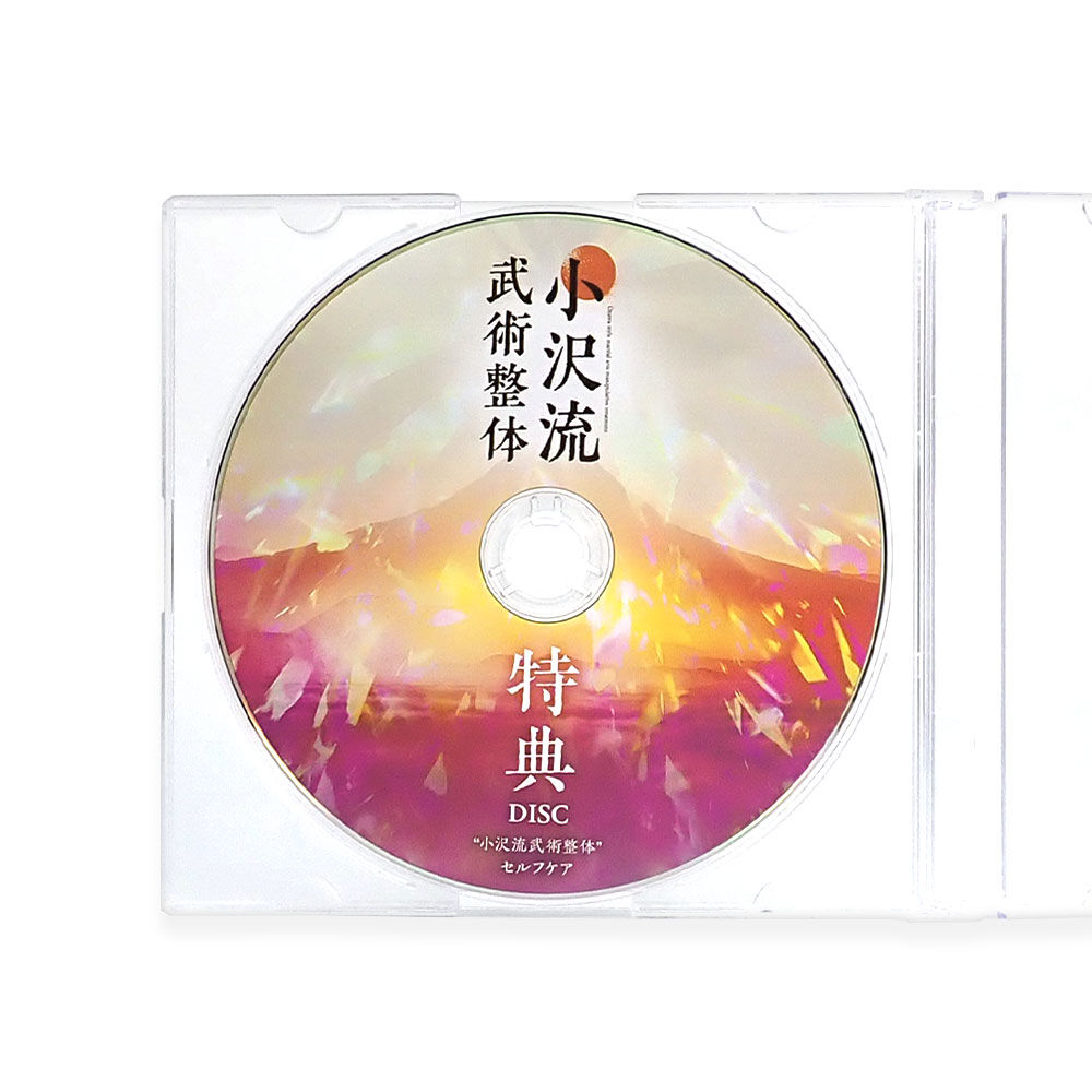 小沢流武術整体 DVD4枚組＋特典1枚ゴッドハンド小沢真太郎の施術を完全マスター 小沢流武術整体】小沢真太郎 整体DVD 手技DVD 治療院マーケティング