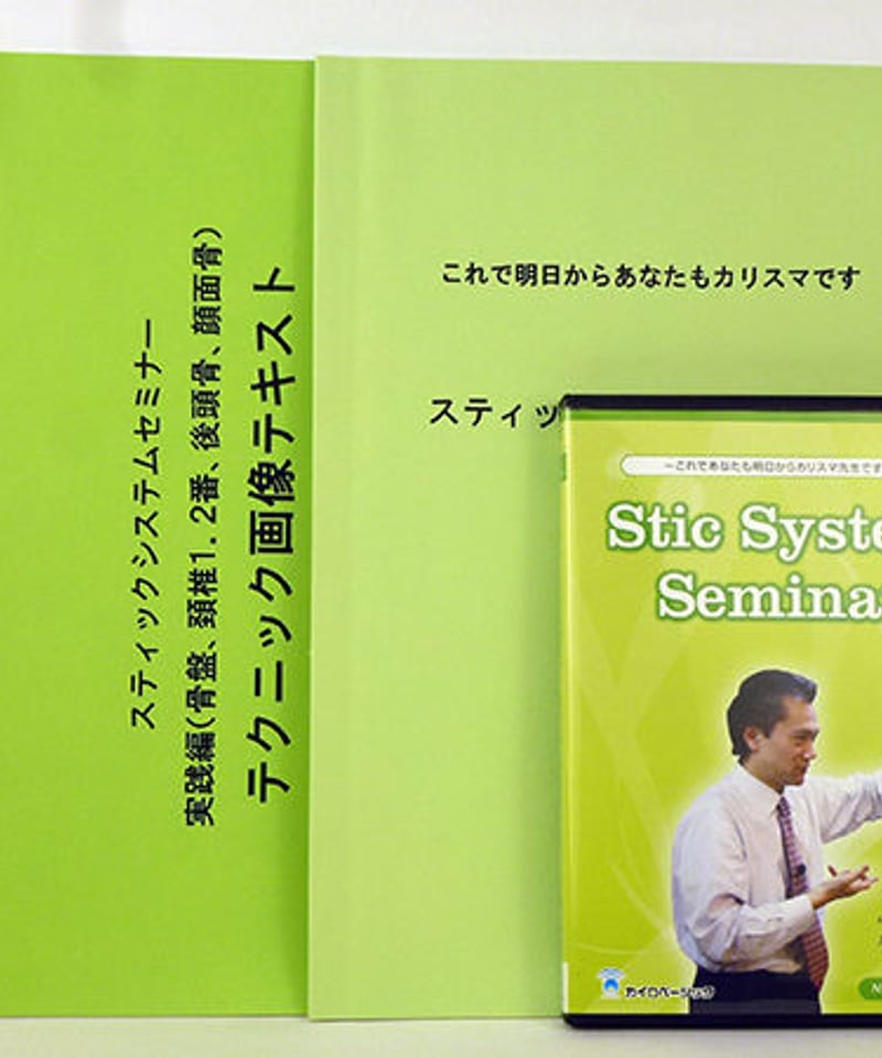 スティックシステムセミナー スティックシステムセミナー