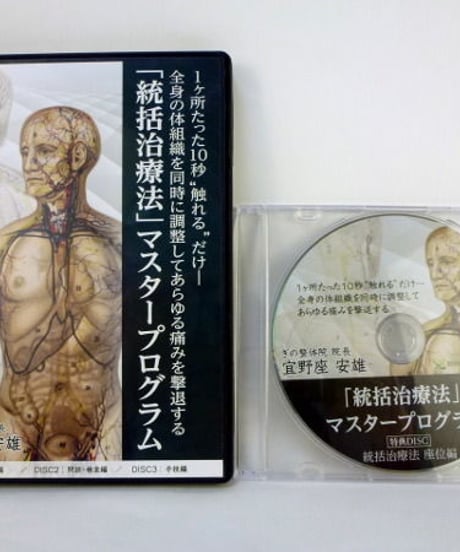 「統括治療法」マスタープログラム　宜野座安雄