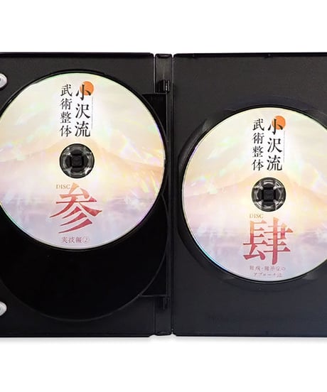 【小沢流武術整体】小沢真太郎 整体DVD 手技DVD 治療院マーケティング研究所