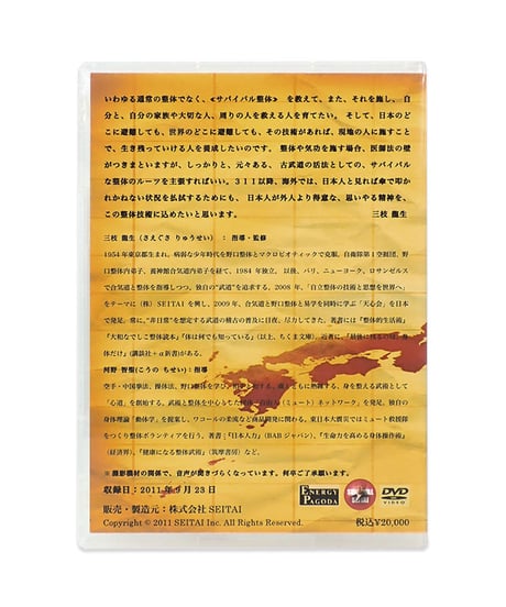 【サバイバル整体 DVD 第1～6回 6点セット】三枝龍生 河野智聖