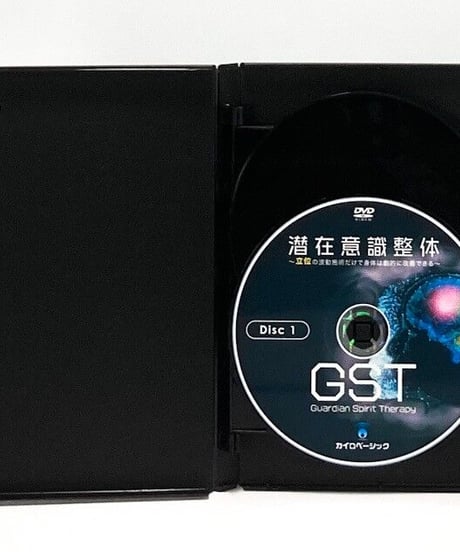 潜在意識整体GST～立位の波動施術だけで身体は劇的に改善できる～　丸山重幸
