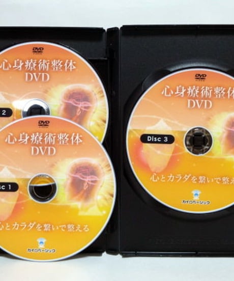 【心身療術整体 心とカラダを繋いで整える】横内拓樹 手技DVD 整体DVD カイロベーシック