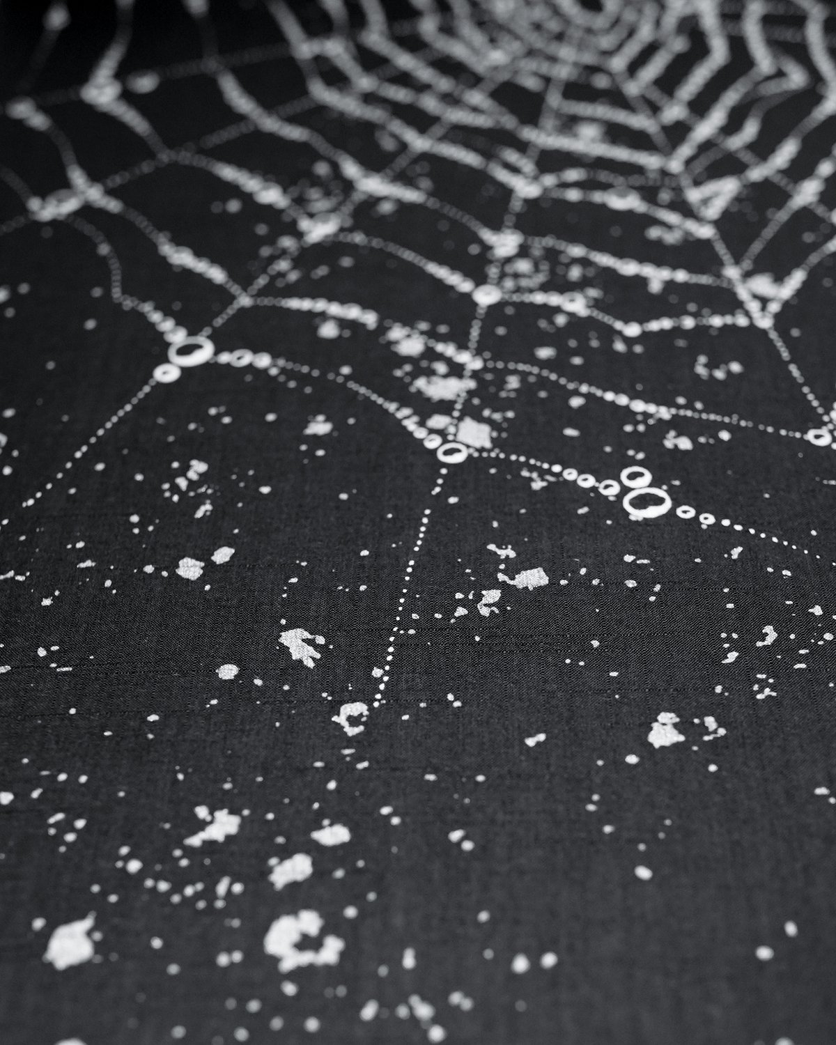 銀河蜘蛛ノ巣図 GALAXYSPIDERWEB / KAPUKI × NISHIOKA PEN