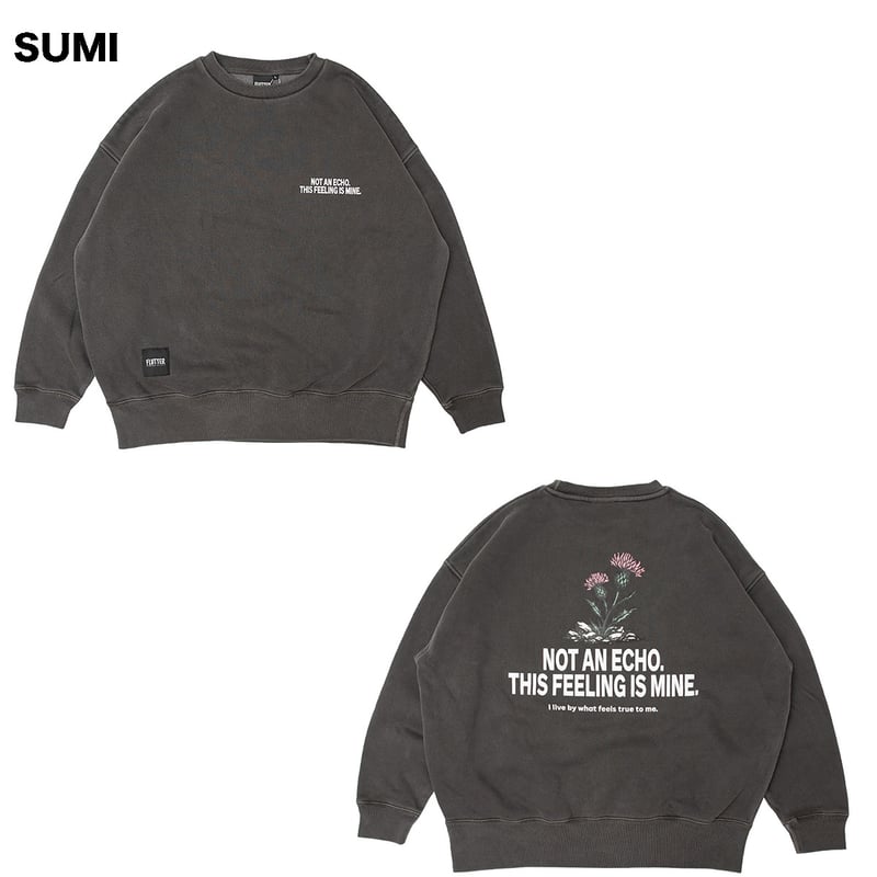 FLUTTER(フラッター) PIGMENT DYE B/S MESSAGE LOGO SWE
