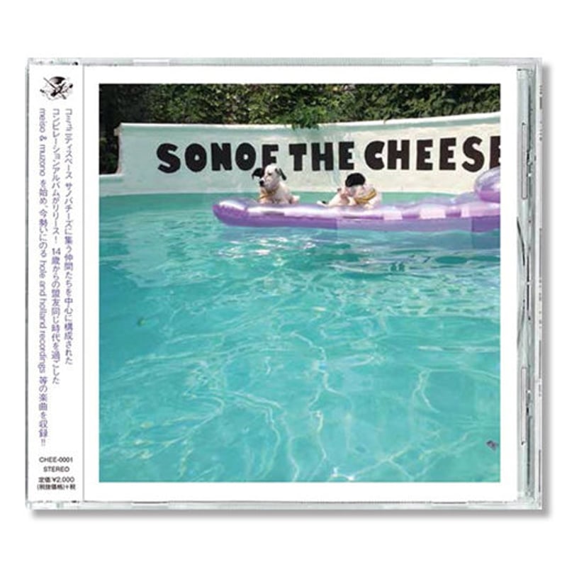 V.A / SON OF THE CHEESE | HOLE AND HOLLAND WEB