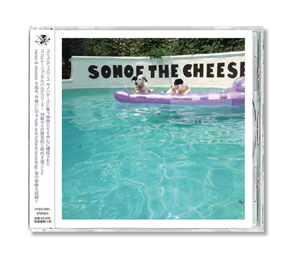 V.A / SON OF THE CHEESE | HOLE AND HOLLAND WEB